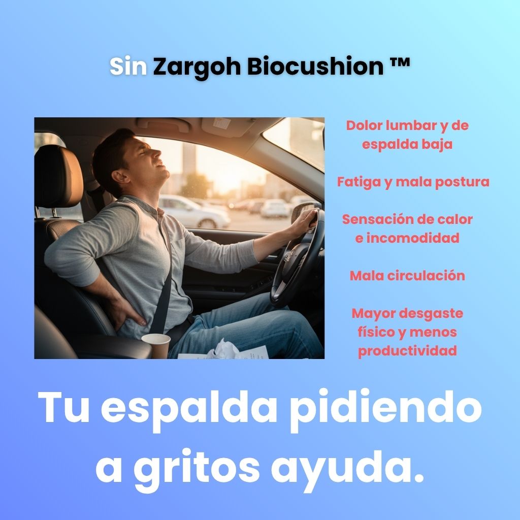 Zargoh Biocushion™ Almohada Ortopédica Gel Memory Foam